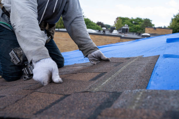 Quick and Trustworthy Emergency Roof Repair Services in Lakeview, OR